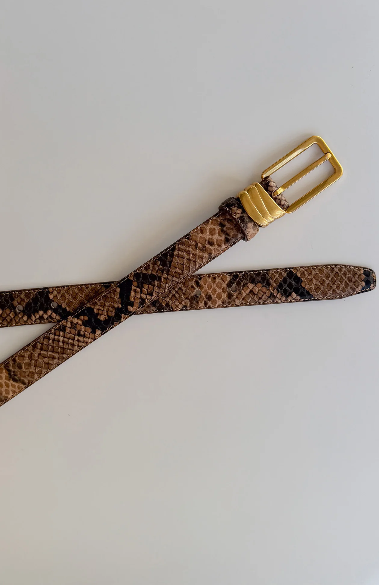 Rex Belt Snake/Vintage Gold - Image 2