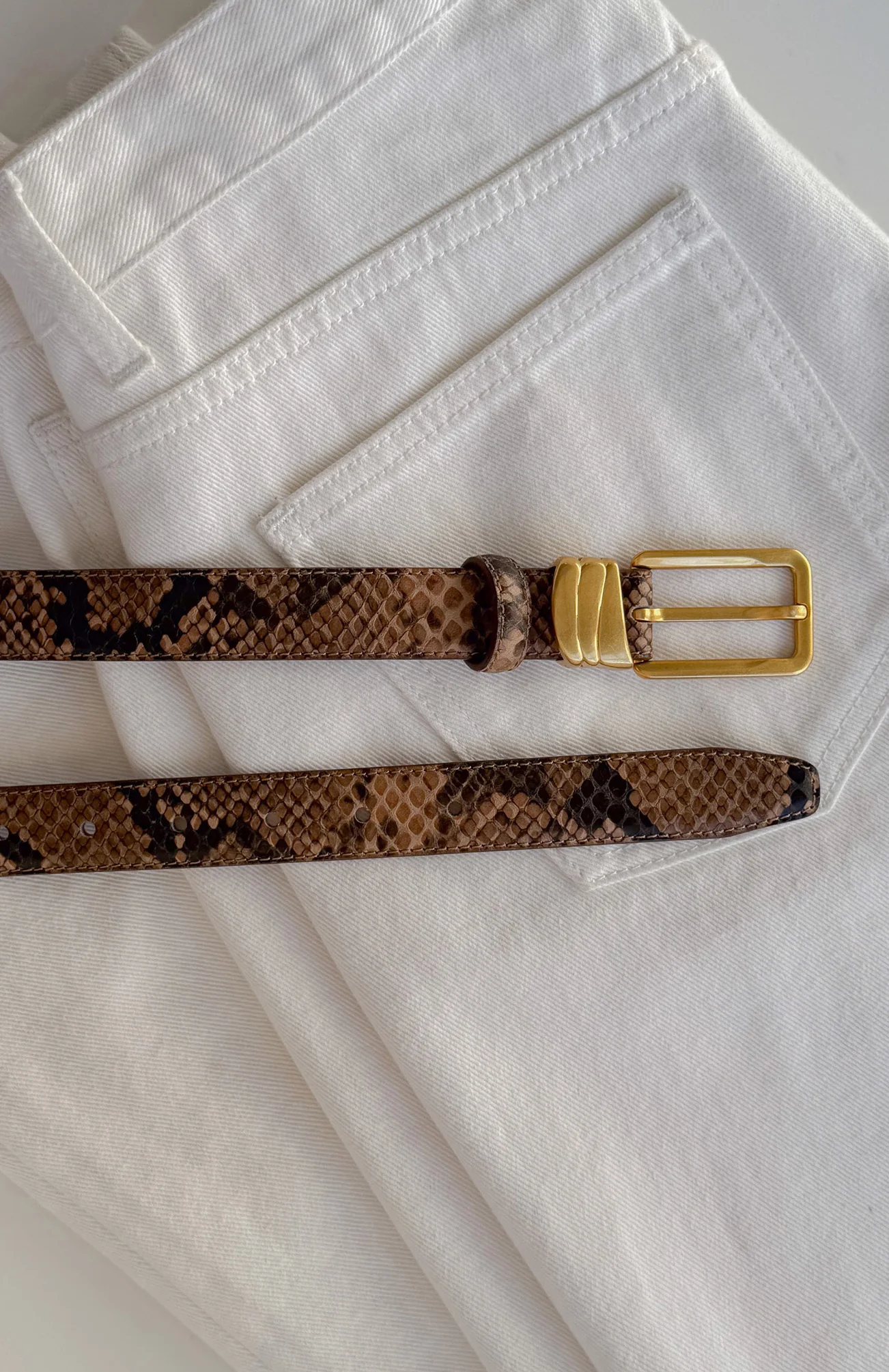 Rex Belt Snake/Vintage Gold - Image 3